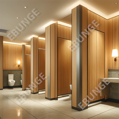 Ondersteuning van een gepersonaliseerde commerciële badkamer scheidingswand Duurzame kras- en inslagbestendige toilet scheidingswand
